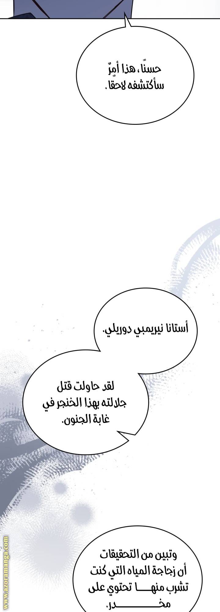 الصفحة 29