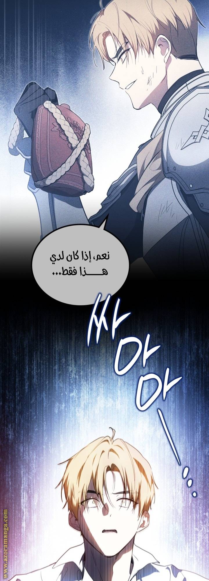 الصفحة 38