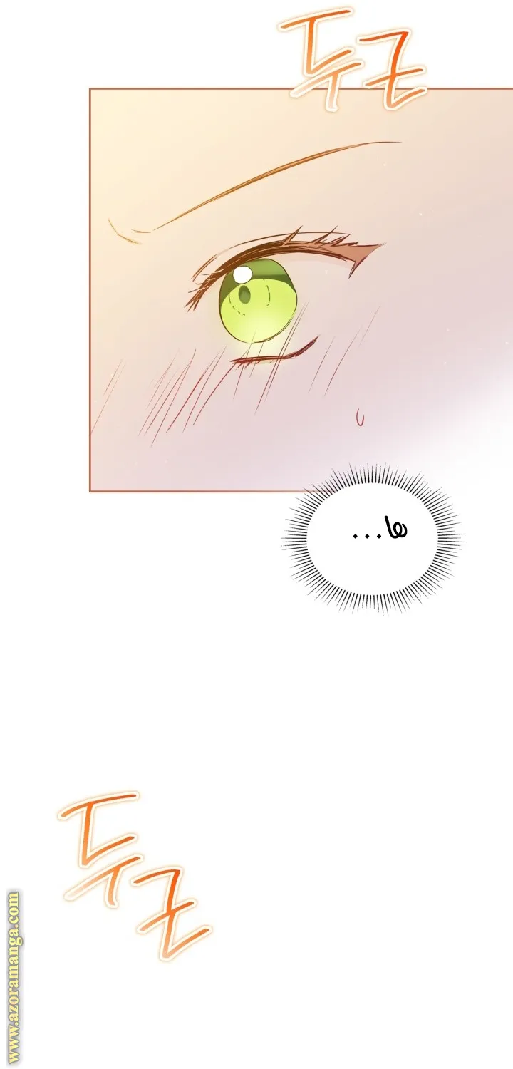 الصفحة 41