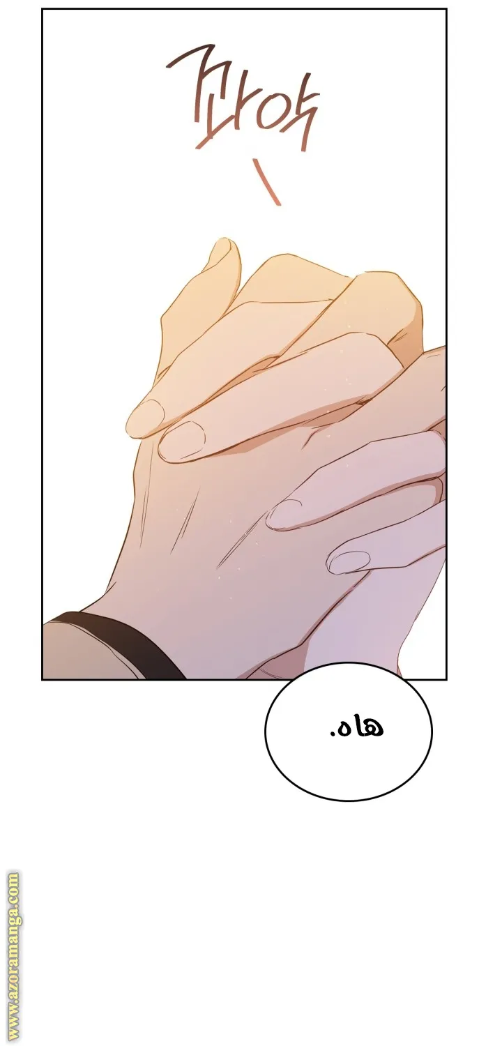 الصفحة 48