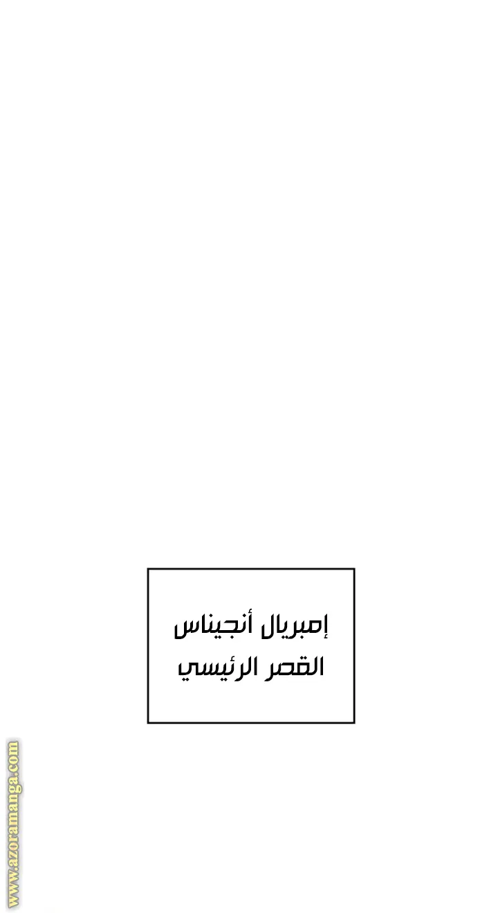 الصفحة 43