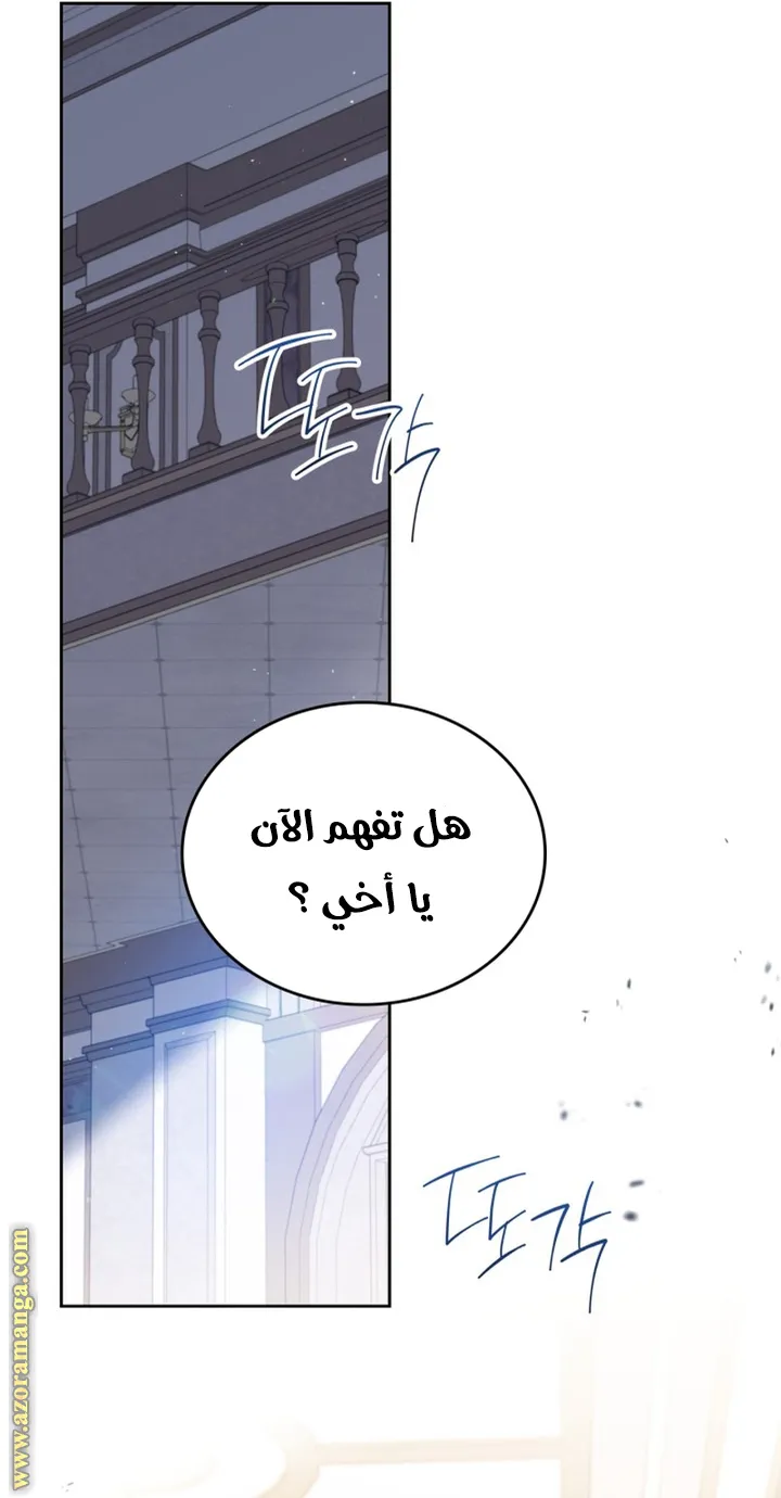 الصفحة 46
