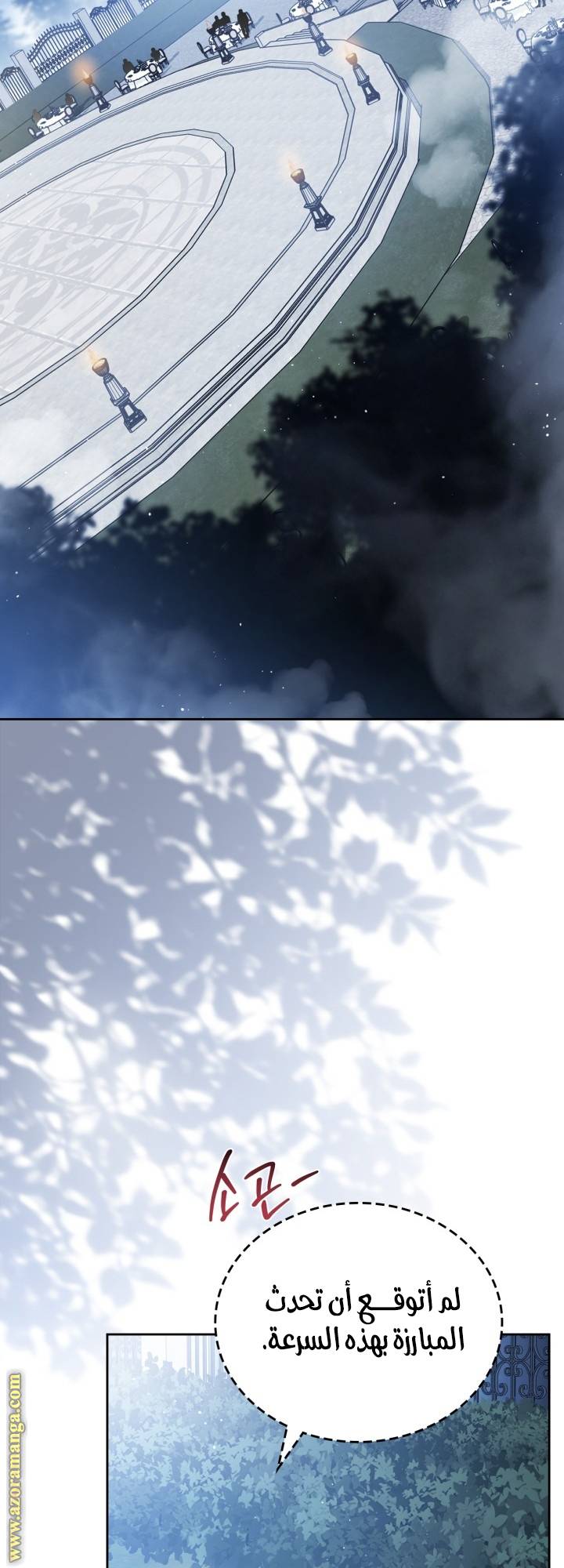 الصفحة 20