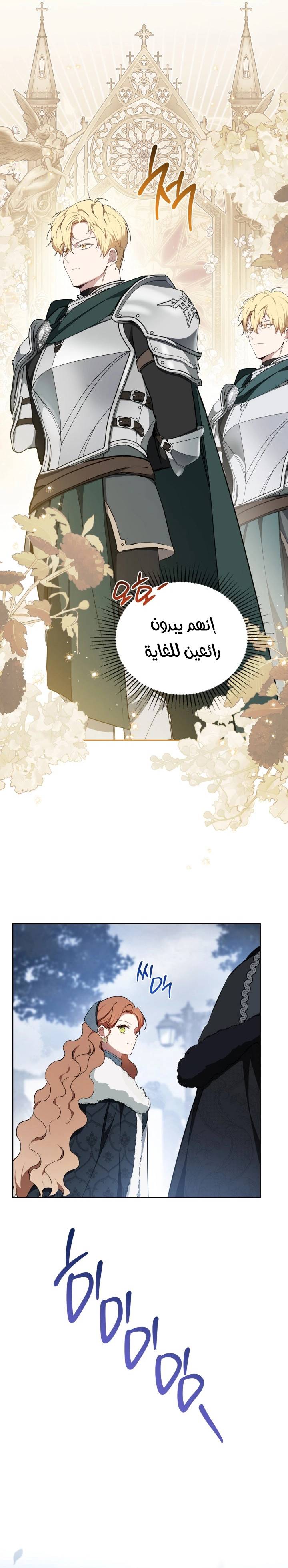 الصفحة 20