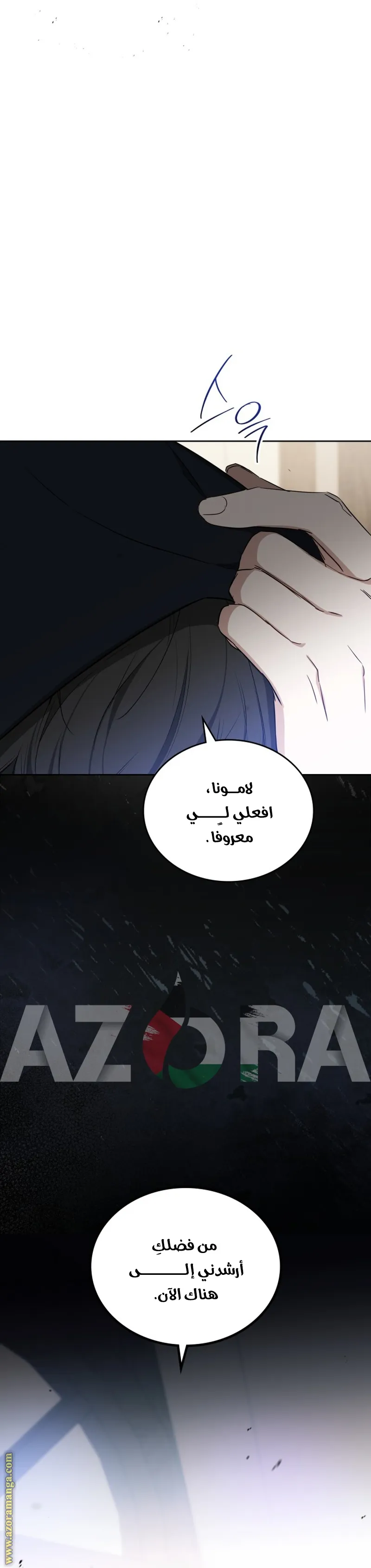الصفحة 19