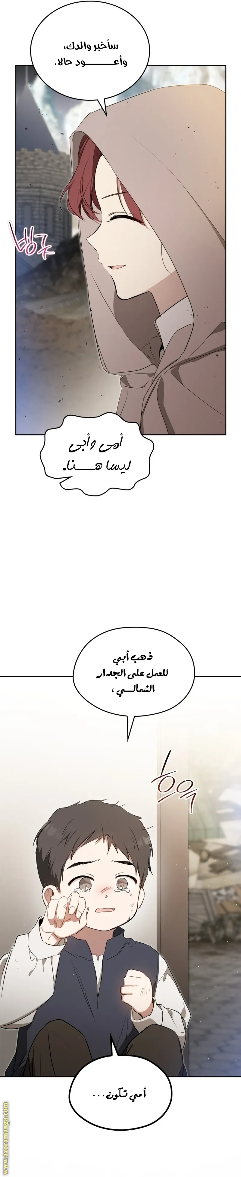 الصفحة 27