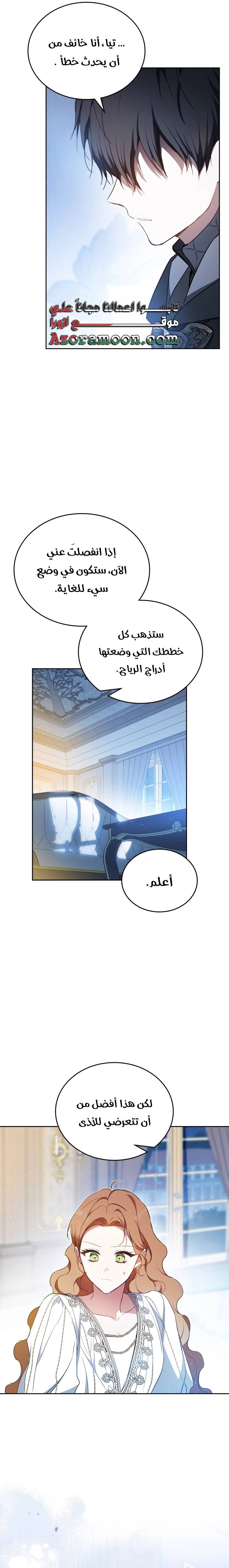 الصفحة 17