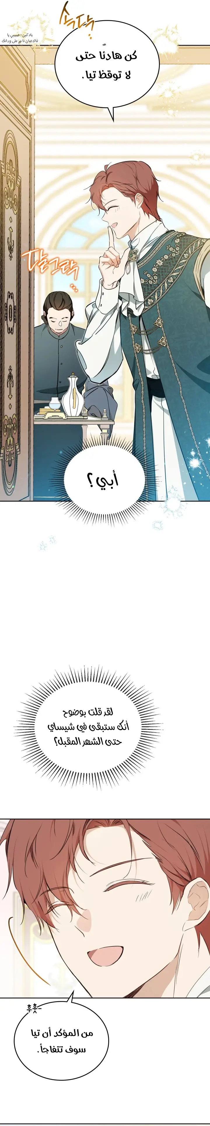 الصفحة 12