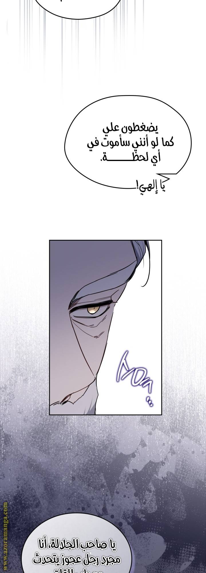 الصفحة 27