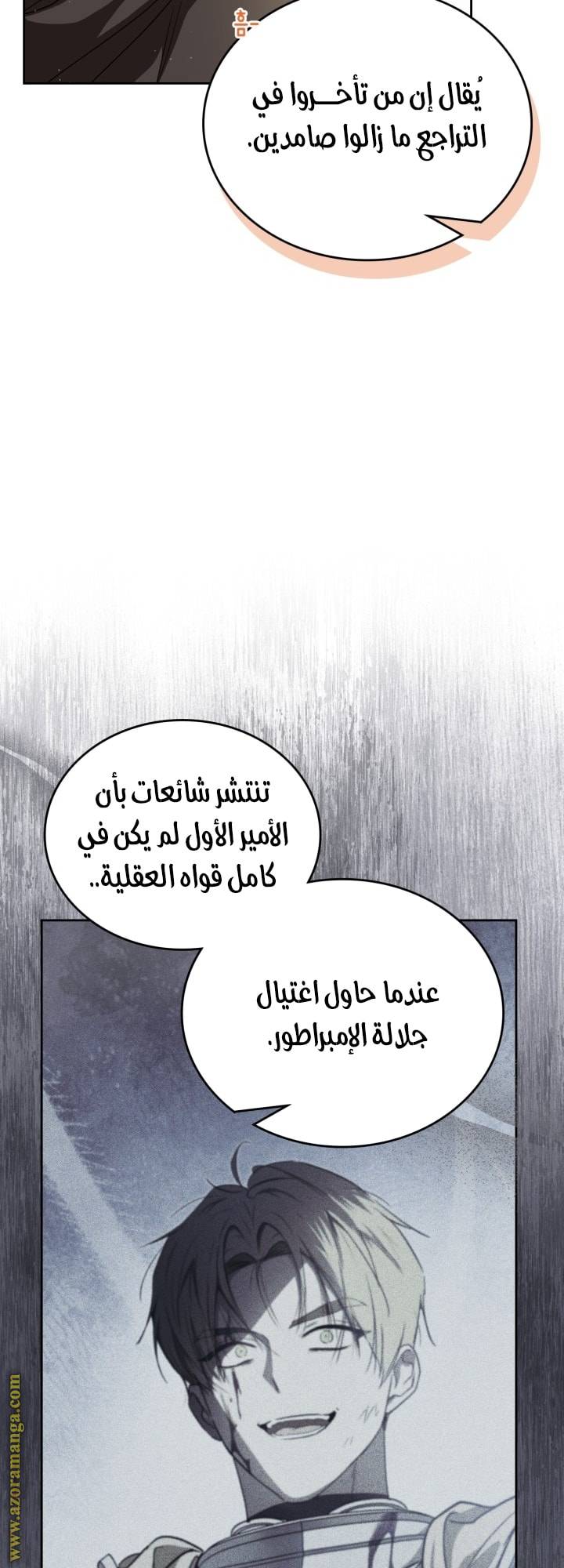 الصفحة 25