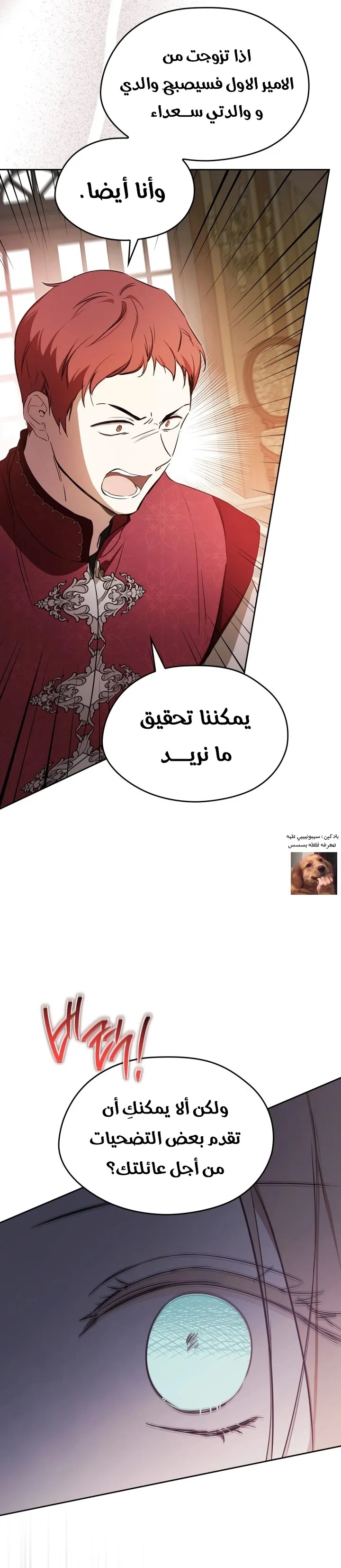 الصفحة 17