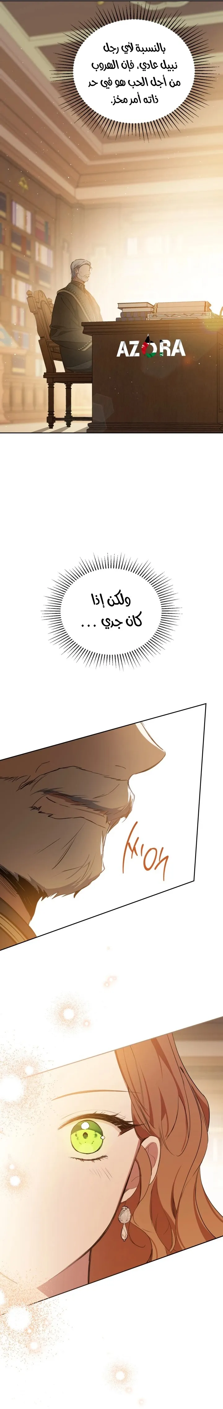 الصفحة 30