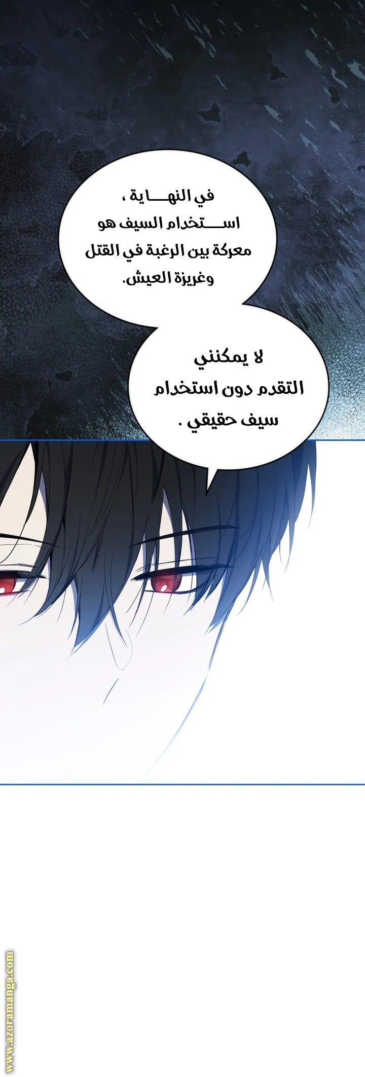 الصفحة 13