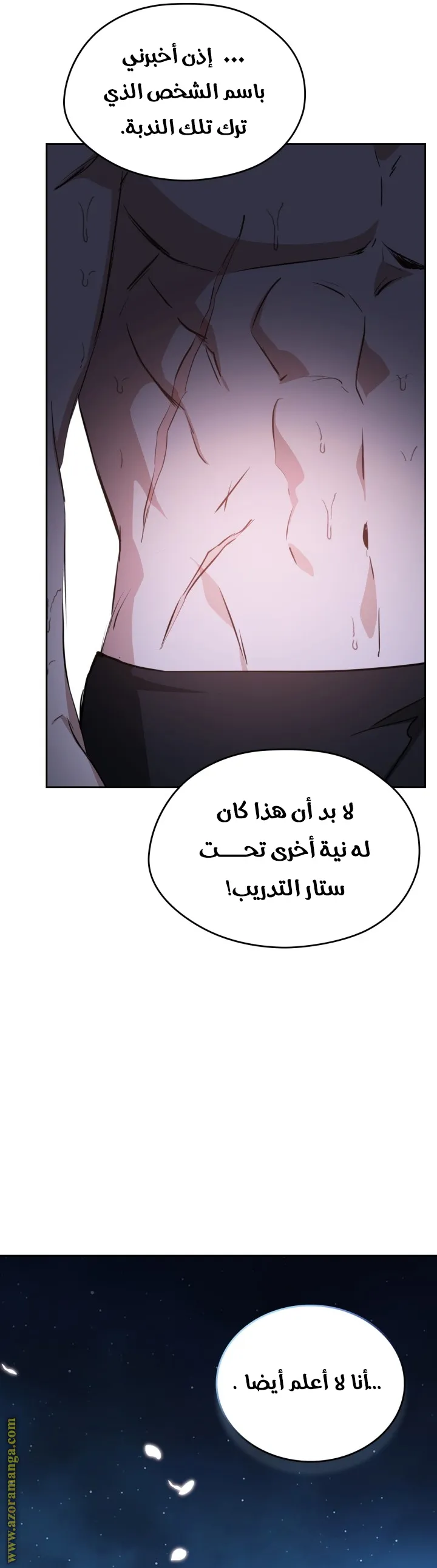 الصفحة 14