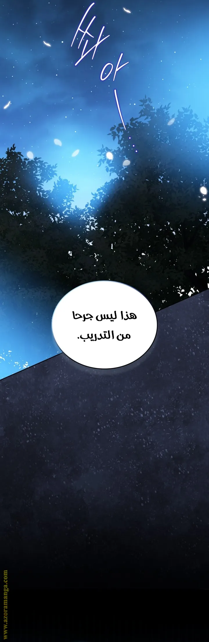 الصفحة 15