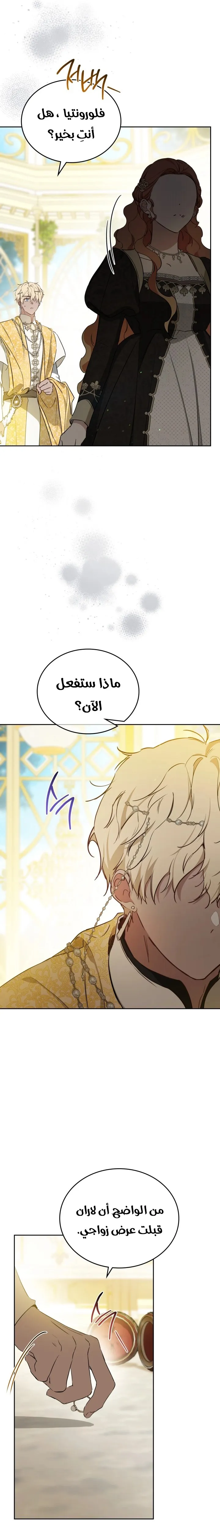 الصفحة 17