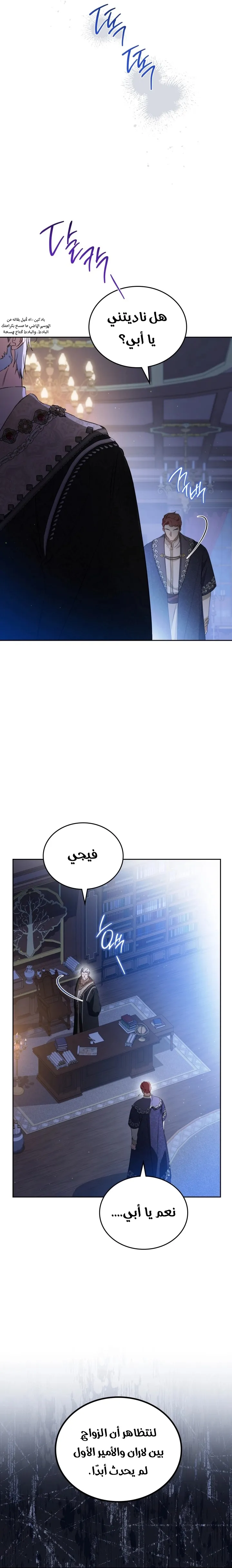 الصفحة 17