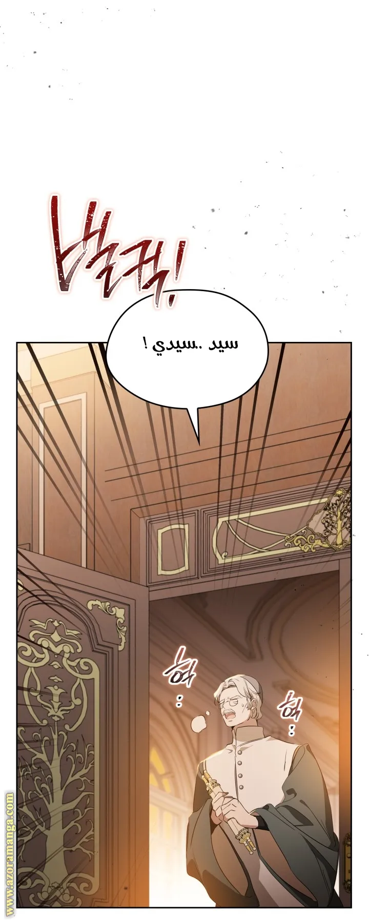 الصفحة 17