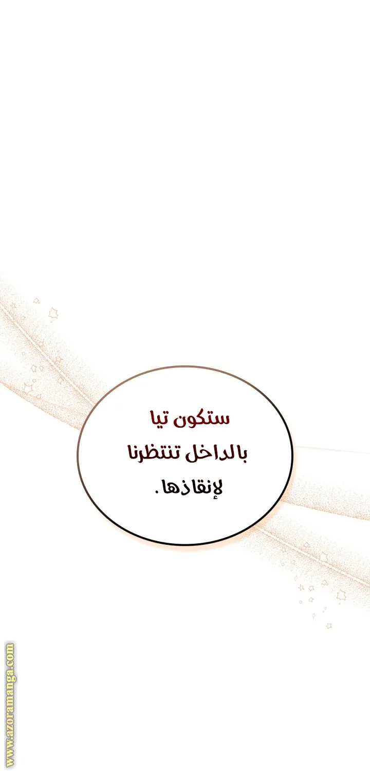 الصفحة 31