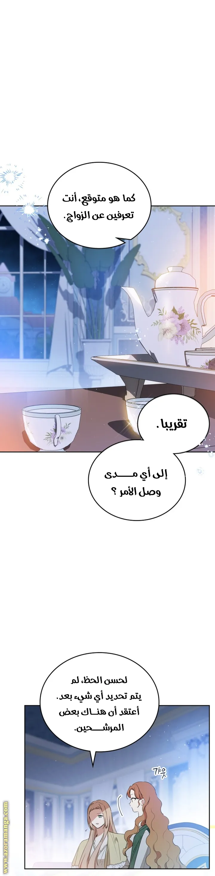 الصفحة 13