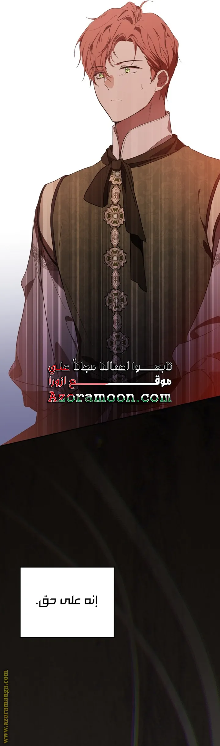 الصفحة 30