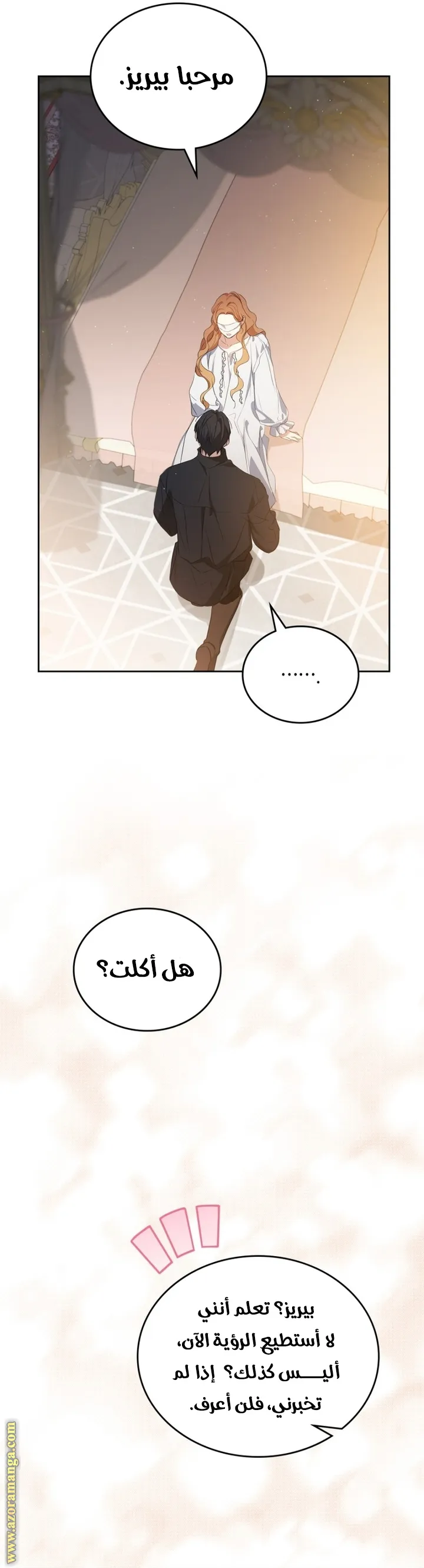 الصفحة 17