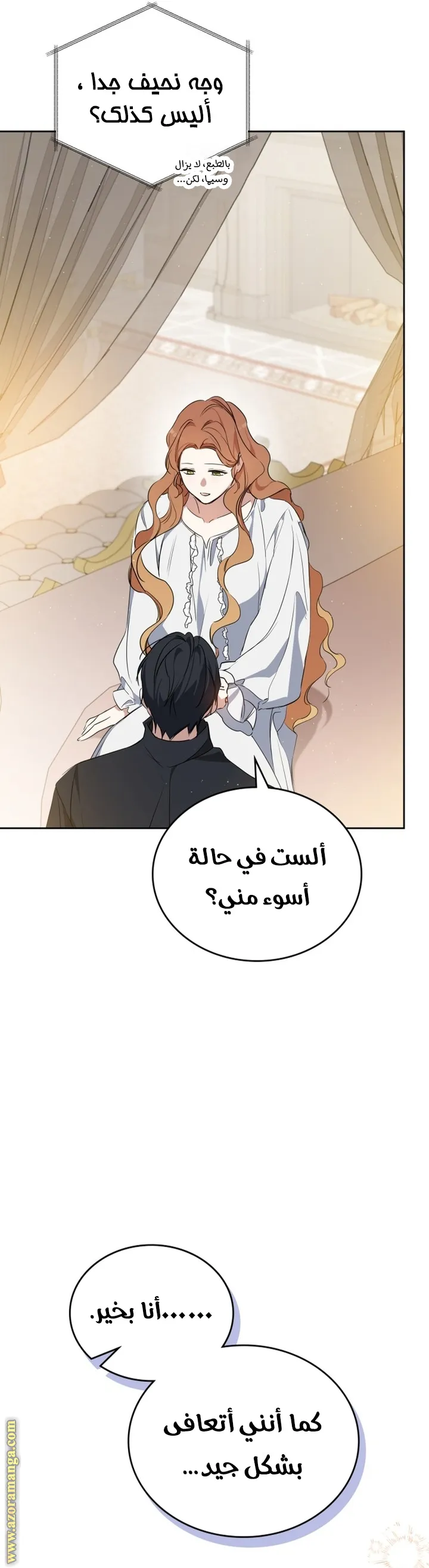الصفحة 25
