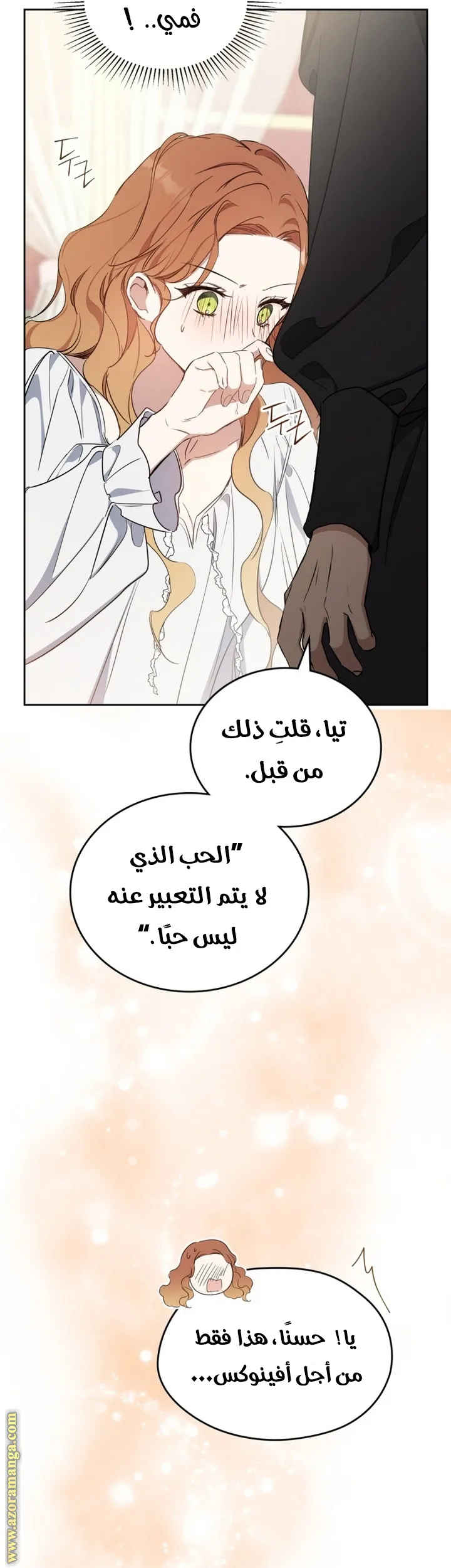 الصفحة 48
