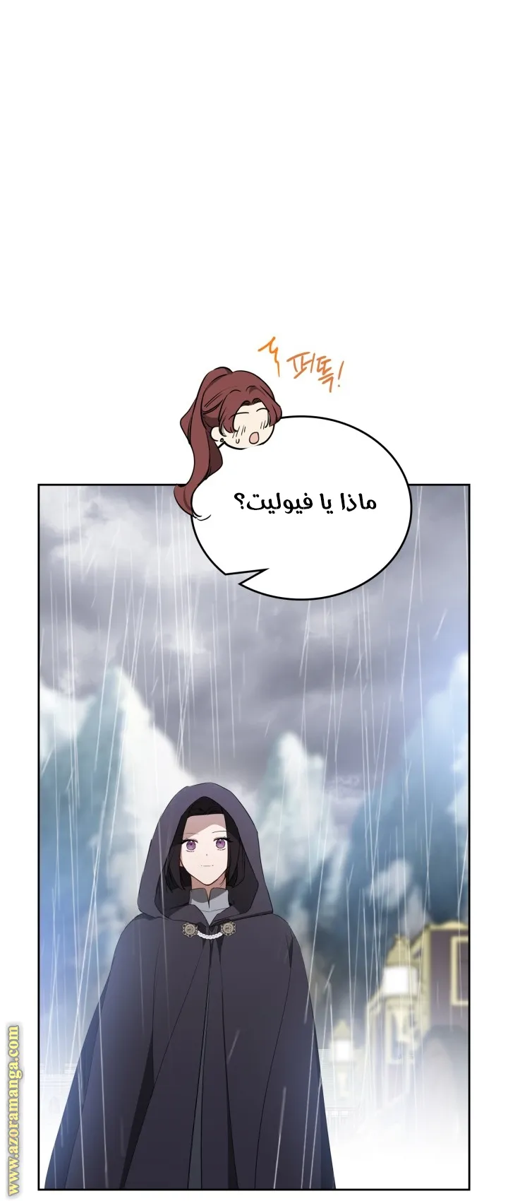 الصفحة 43