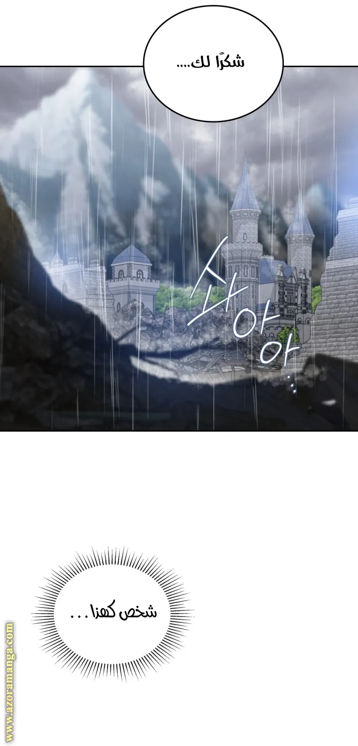 الصفحة 48