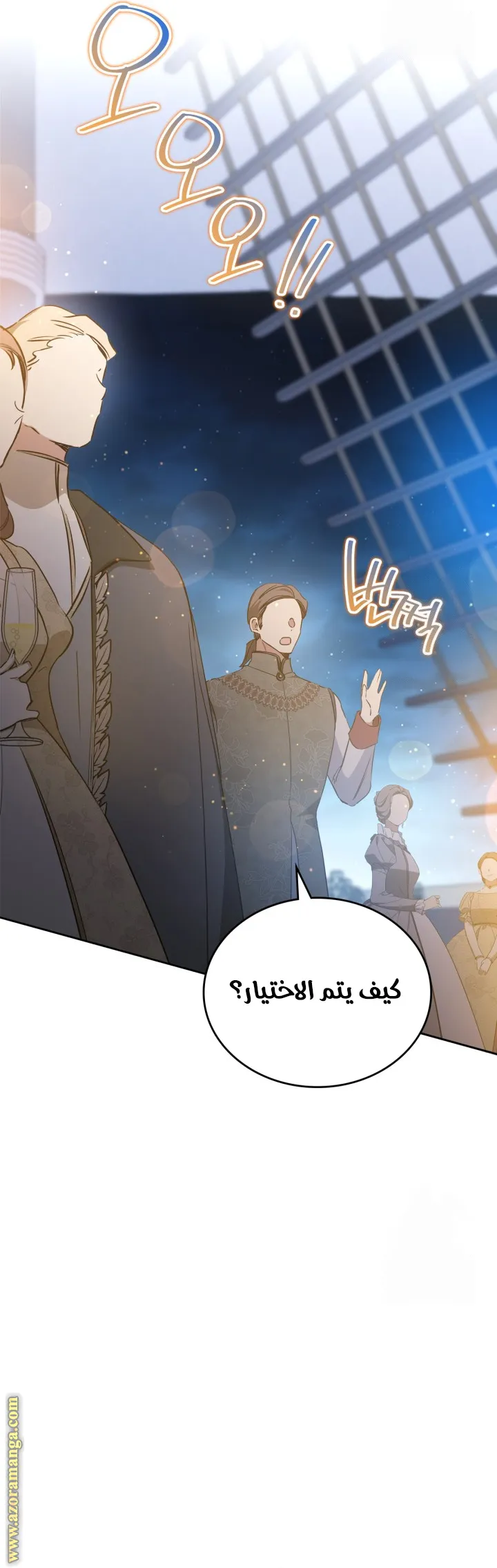 الصفحة 17