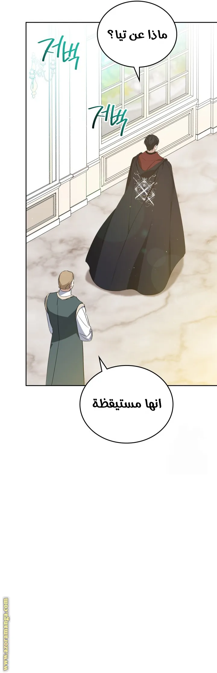 الصفحة 31