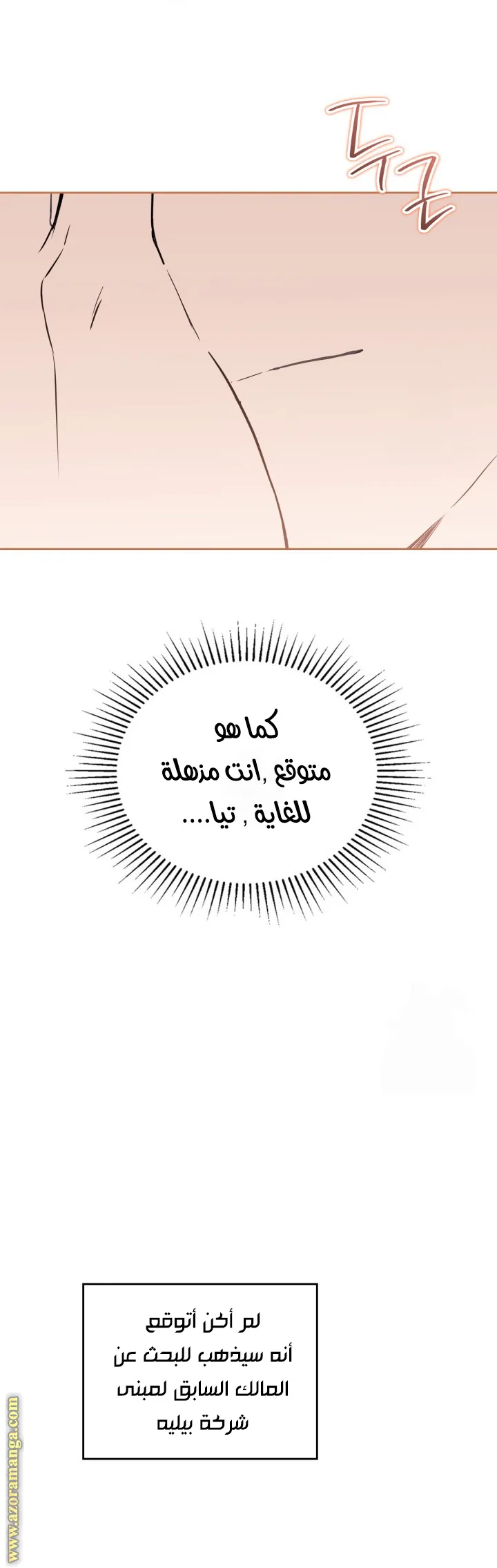 الصفحة 47