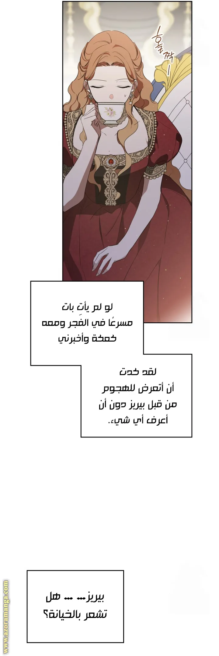 الصفحة 48