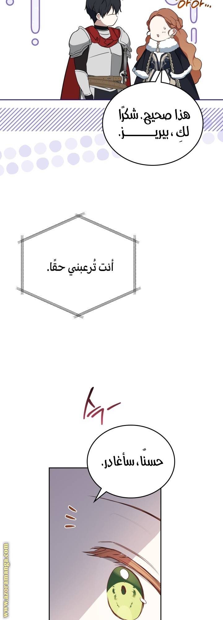 الصفحة 53