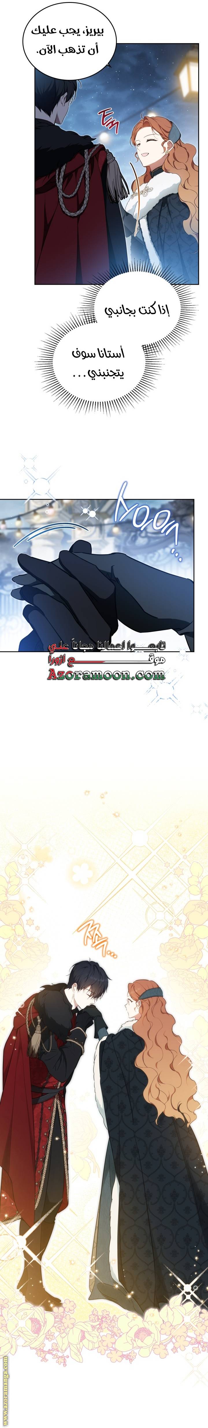 الصفحة 19