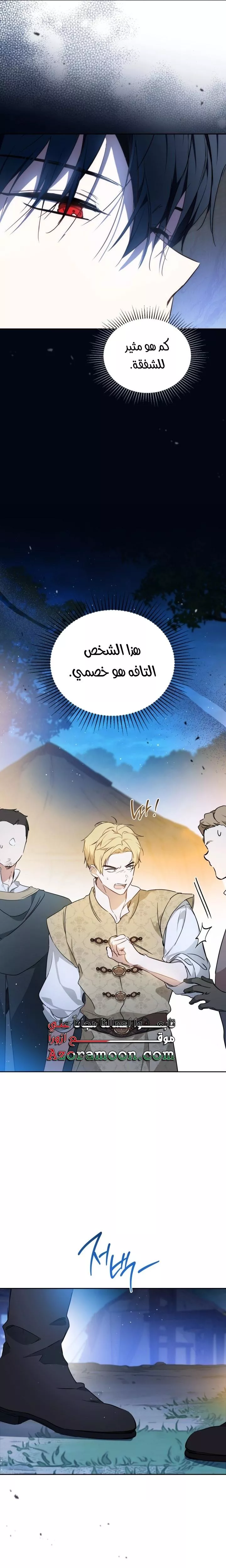 الصفحة 17