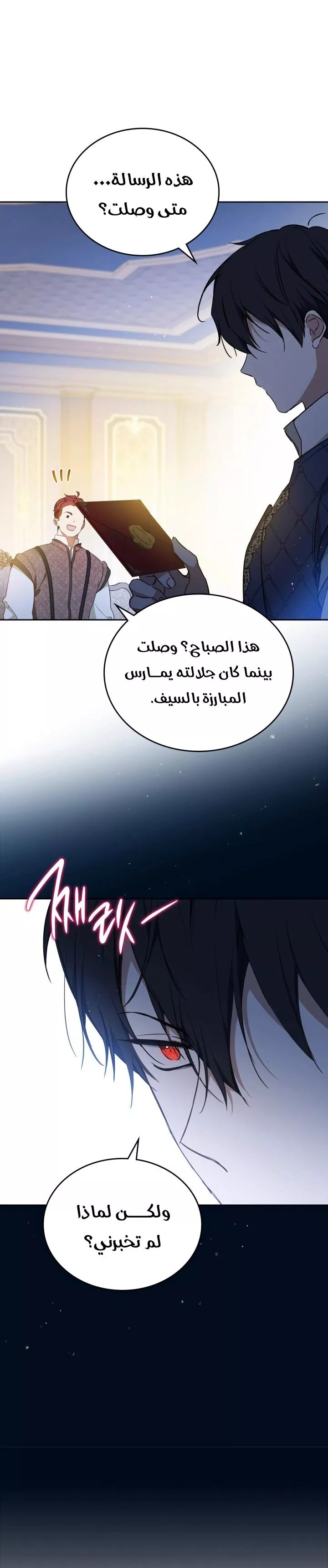 الصفحة 26