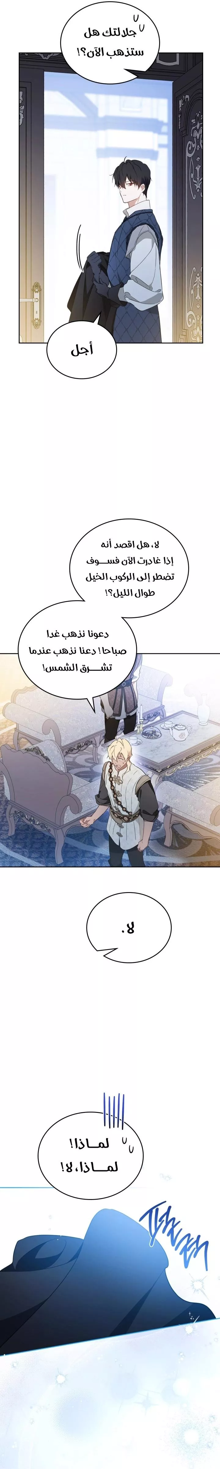الصفحة 29