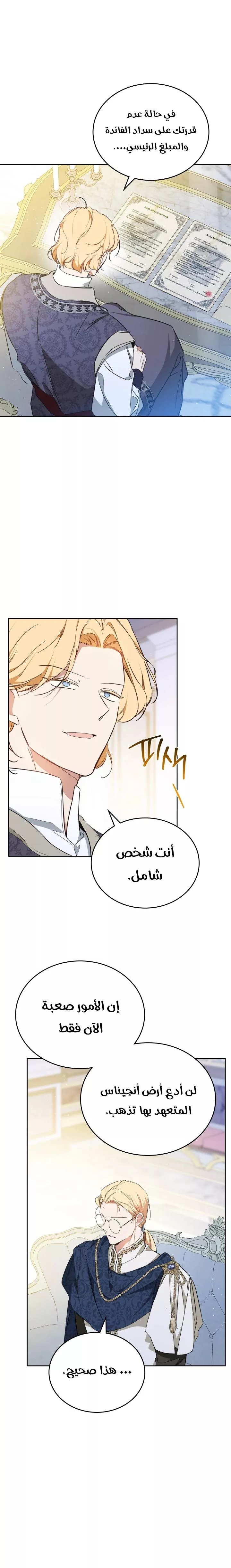 الصفحة 17