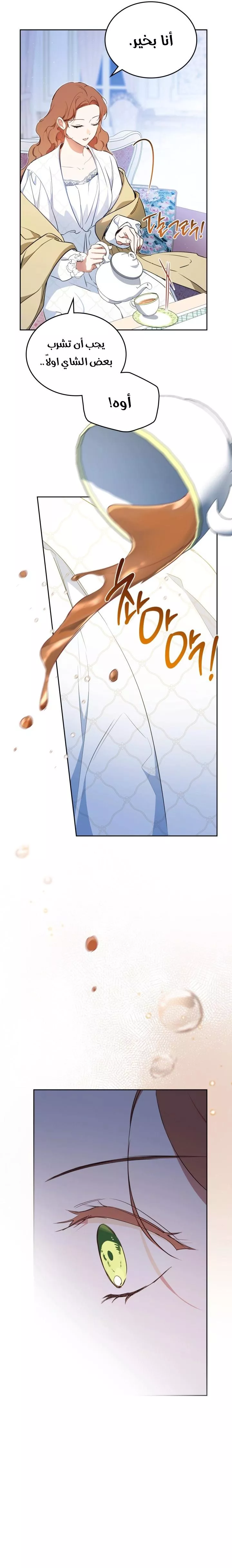 الصفحة 16