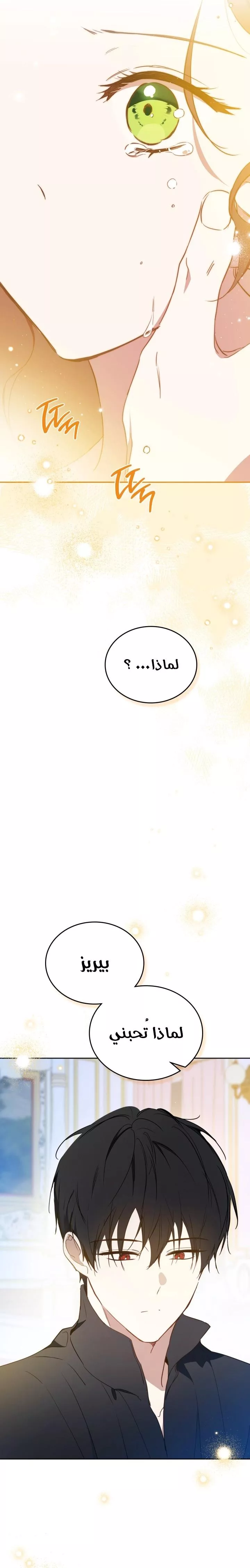 الصفحة 24