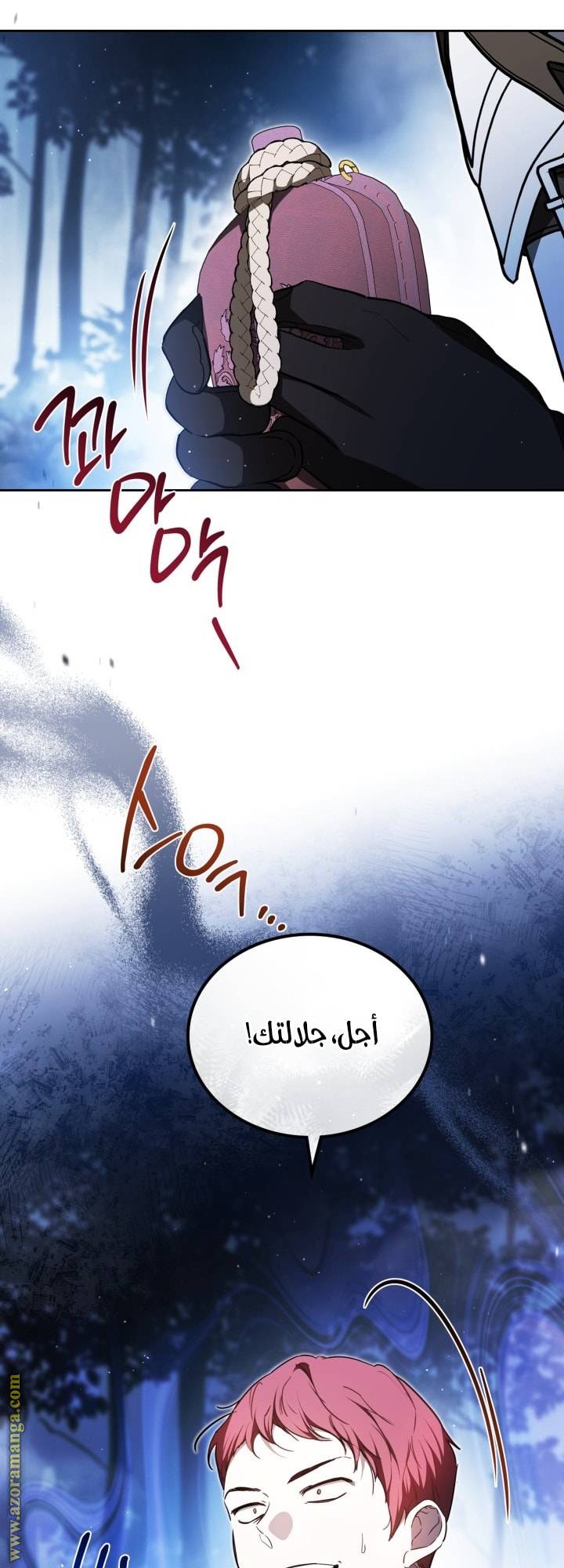 الصفحة 11