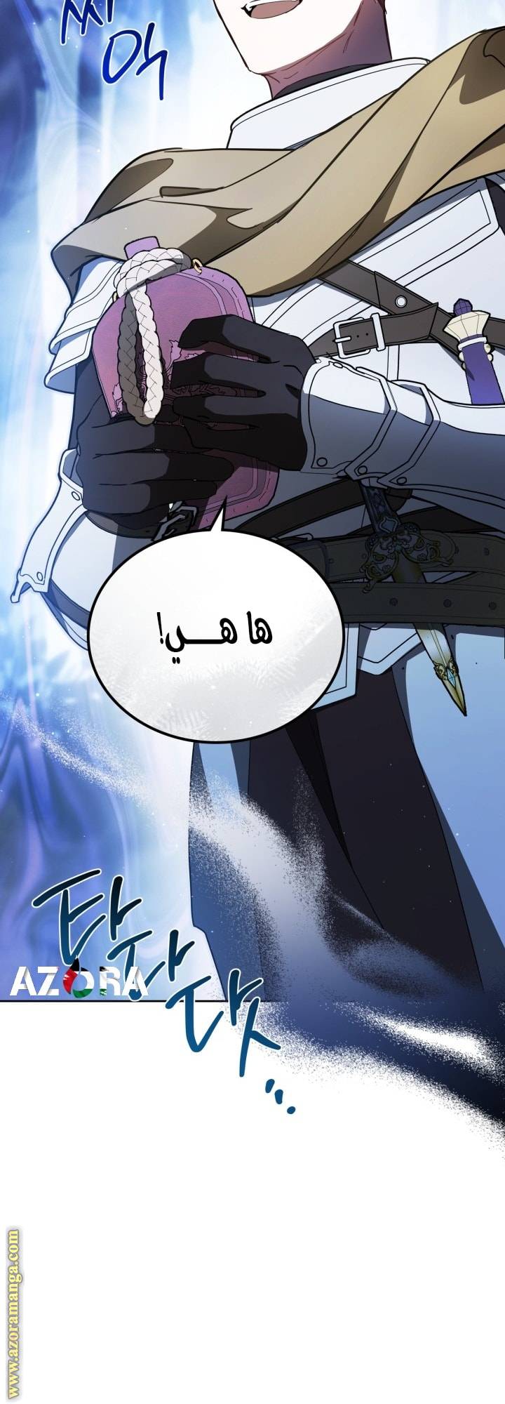 الصفحة 12