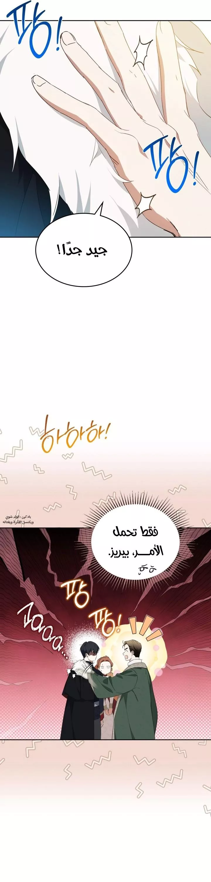 الصفحة 13