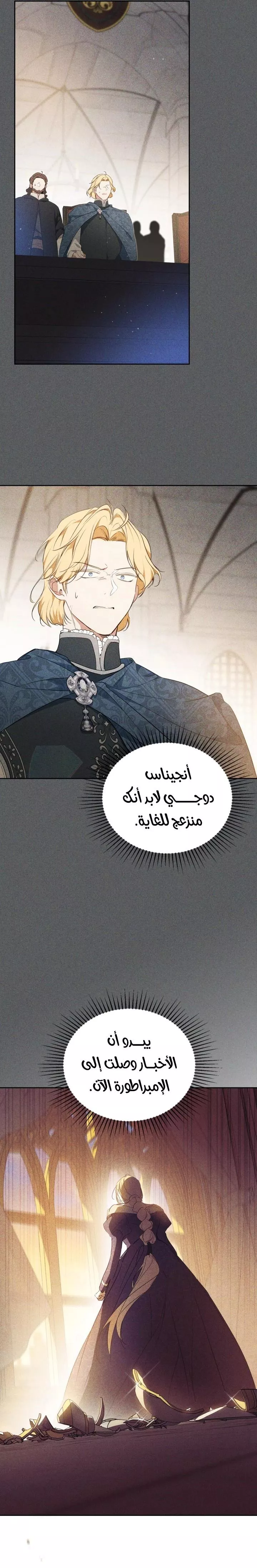 الصفحة 25