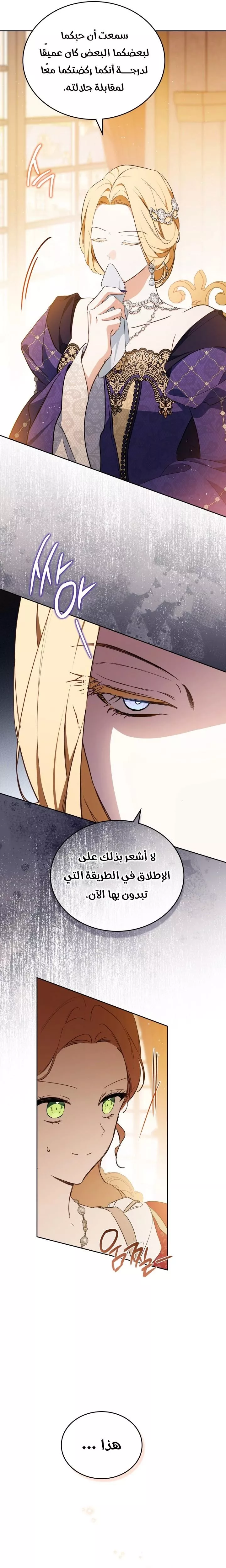 الصفحة 17