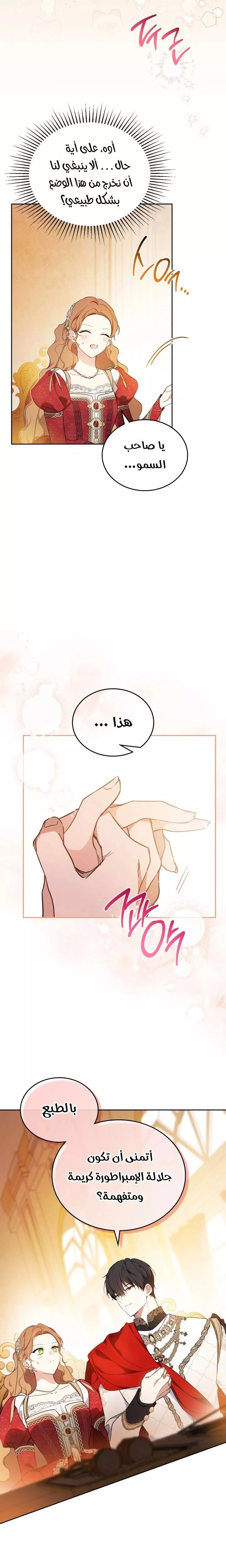 الصفحة 22