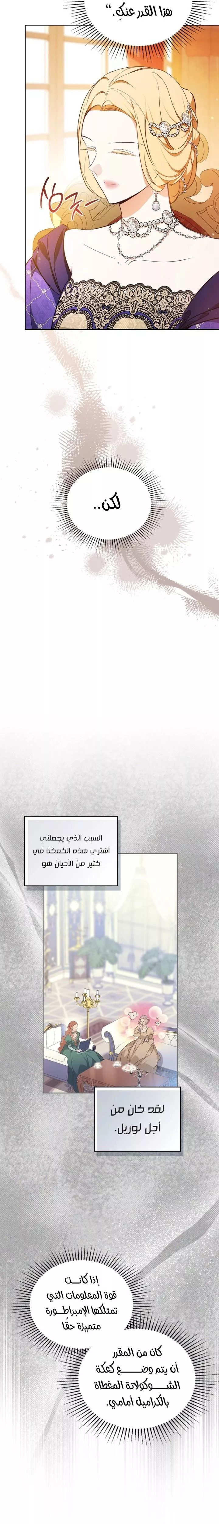 الصفحة 26