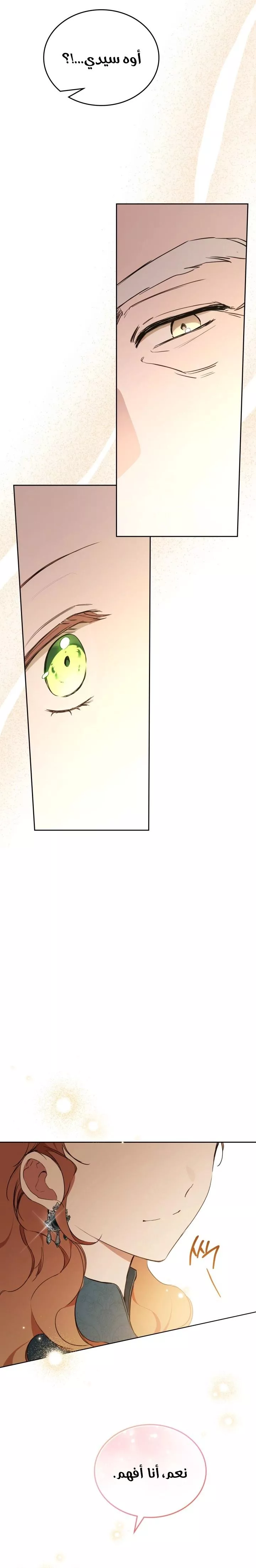 الصفحة 24